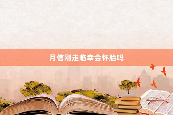 月信刚走临幸会怀胎吗